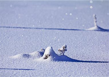 Stopy stínů na sněhu,  Čechy