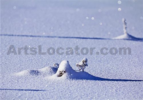 Stopy stínů na sněhu, Čechy